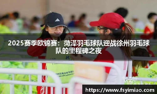 2025赛季欧锦赛：菏泽羽毛球队迎战徐州羽毛球队的里程碑之夜
