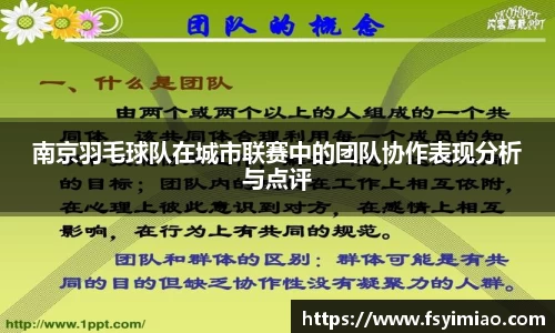 南京羽毛球队在城市联赛中的团队协作表现分析与点评